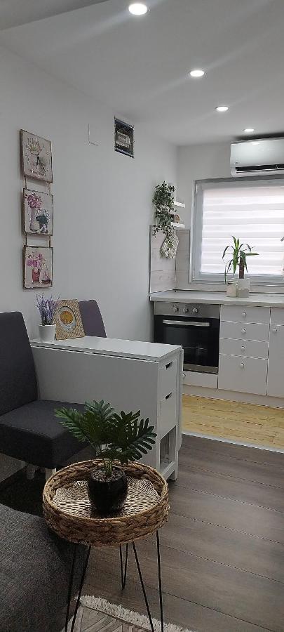 Queen Apartmancic Zaječar Εξωτερικό φωτογραφία